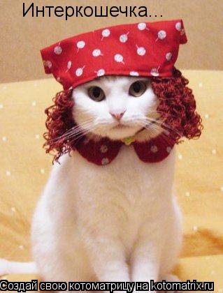 Котоматрица: Интеркошечка...
