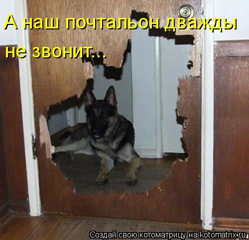 А наш почтальон дважды не звонит...... Котоматрица: А наш почтальон дважды не звонит...