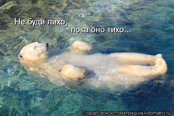 Котоматрица: Не буди лихо, пока оно тихо...