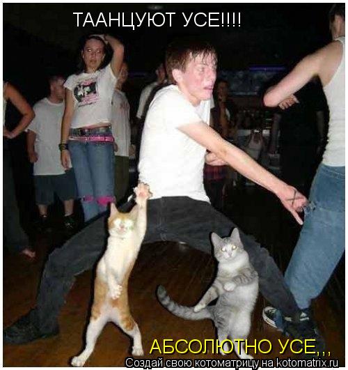 Котоматрица: ТААНЦУЮТ УСЕ!!!! АБСОЛЮТНО УСЕ,,,
