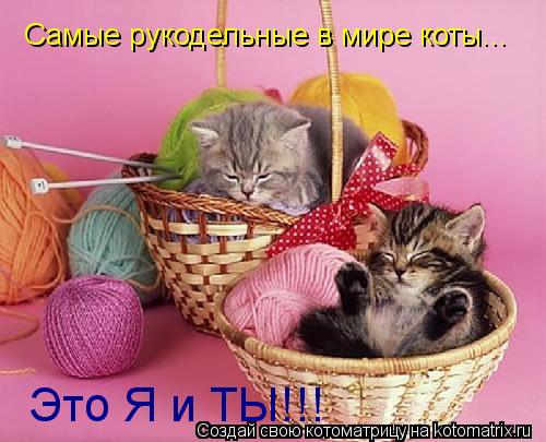 Котоматрица: Самые рукодельные в мире коты... Это Я и ТЫ!!!