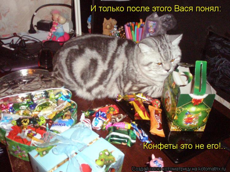 Котоматрица: И только после этого Вася понял: Конфеты это не его!..