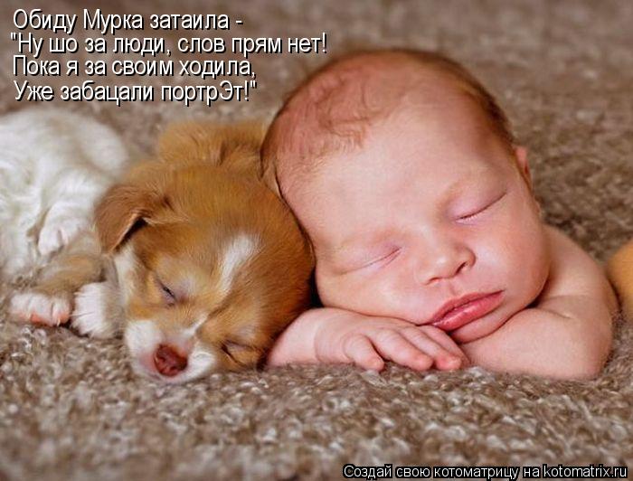 Котоматрица: Обиду Мурка затаила - "Ну шо за люди, слов прям нет! Пока я за своим ходила, Уже забацали портрЭт!"