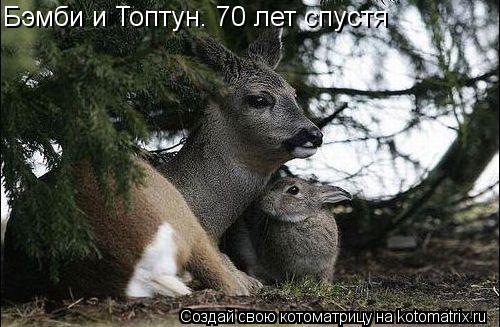 Котоматрица: Бэмби и Топтун. 70 лет спустя