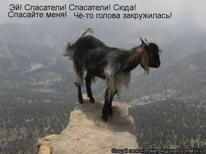 Котоматрица: Эй! Спасатели! Спасатели! Сюда! Спасайте меня! Чё-то голова закружилась!