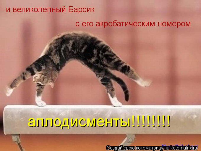 Котоматрица: и великолепный Барсик с его акробатическим номером аплодисменты!!!!!!!!