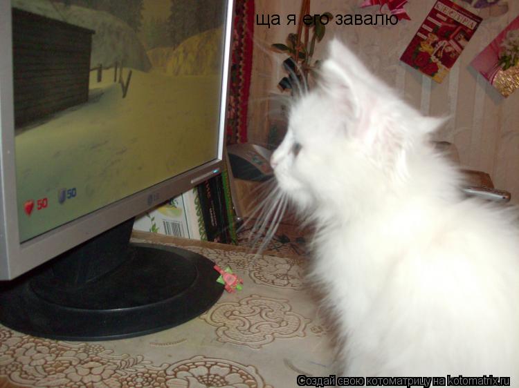 Котоматрица: ща я его завалю