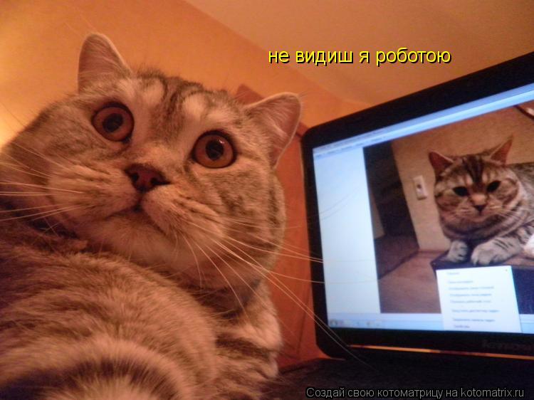 Котоматрица: не видиш я роботою