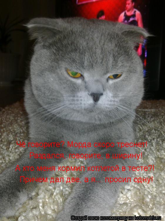 Котоматрица: Чё говорите? Морда скоро треснет! Раздался, говорите, в ширину! А кто меня кормил котлетой в тесте?! Причем дал две, а я... просил одну!