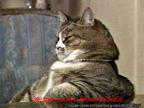 Котоматрица: Звёздные войны Великий Джаба