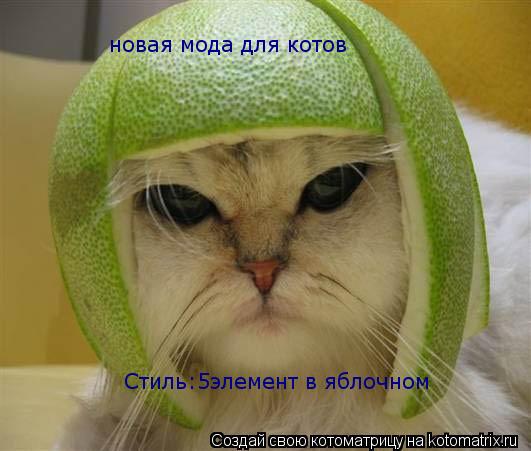 Котоматрица: новая мода для котов Стиль:5элемент в яблочном