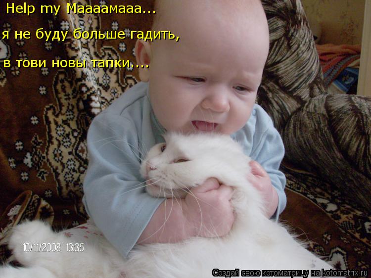 Котоматрица: в тови новы тапки.... Help my Маааамааа... я не буду больше гадить,