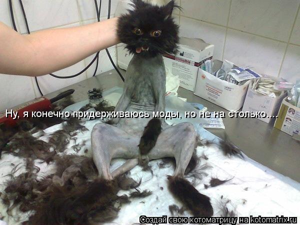 Котоматрица: Ну, я конечно придерживаюсь моды, но не на столько....