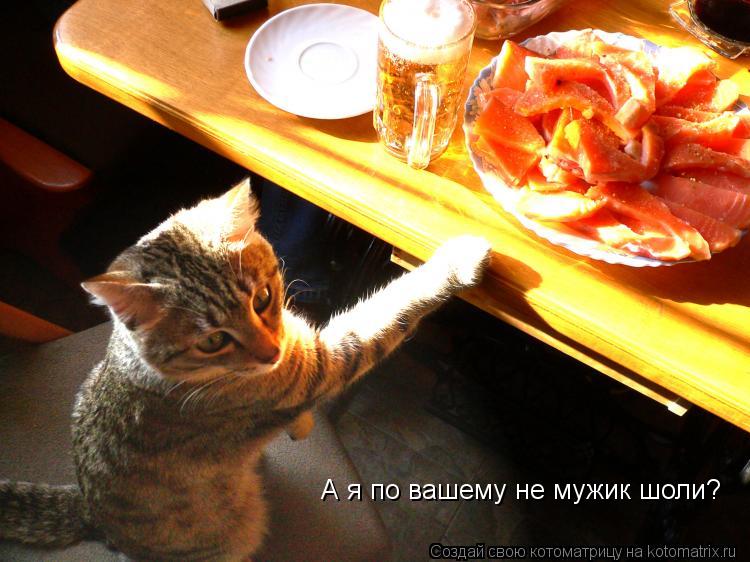 Котоматрица: А я по вашему не мужик шоли?