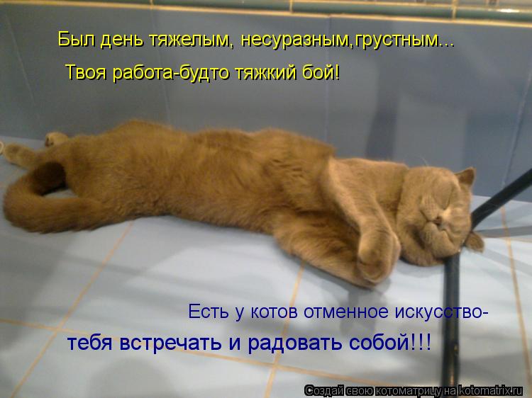 Котоматрица: Был день тяжелым, несуразным,грустным... Твоя работа-будто тяжкий бой! Есть у котов отменное искусство- тебя встречать и радовать собой!!!