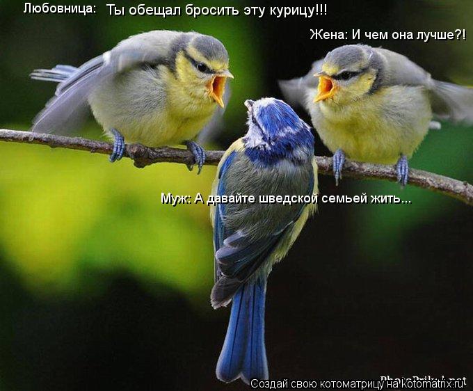 Котоматрица: Ты обещал бросить эту курицу!!! Любовница: Жена: И чем она лучше?! Муж: А давайте шведской семьей жить...