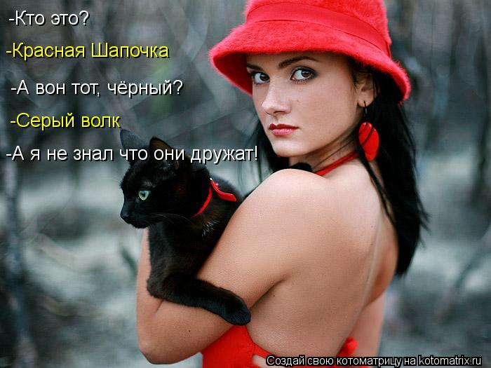 Котоматрица: -Кто это? -Красная Шапочка -А вон тот, чёрный? -Серый волк -А я не знал что они дружат!