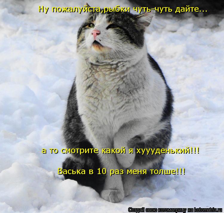 Котоматрица: смотрите какой я хуууденький!!!Васька в 10 раз меня толше!!!  а то смотрите какой я хуууденький!!!  Ну пожалуйста,рыбки чуть-чуть дайте... Васька 