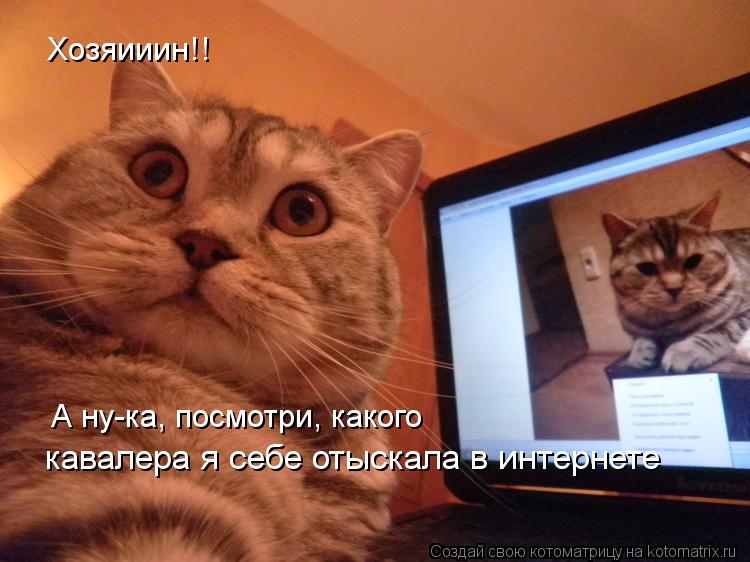 Хозяииин!! А ну-ка, посмотри, какого кавалера я себе отыскала в интернете... Котоматрица: Хозяииин!! А ну-ка, посмотри, какого кавалера я себе отыскала в интернете