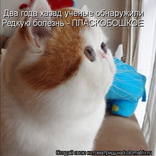 Два года хазад ученые обнаружили Редкую болезнь - ПЛАСКОБОШКОЕ... Котоматрица: Два года хазад ученые обнаружили Редкую болезнь - ПЛАСКОБОШКОЕ