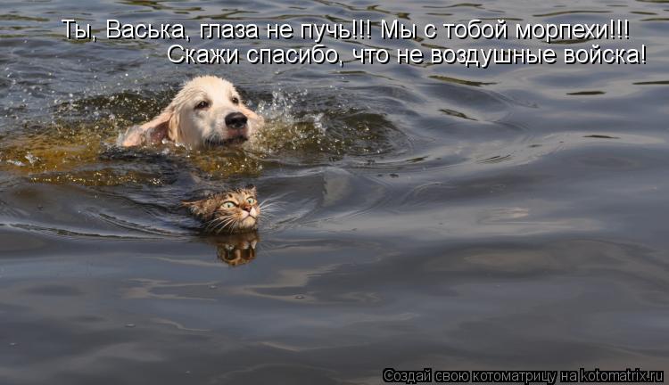 Ты, Васька, глаза не пучь!!! Мы с тобой морпехи!!! Скажи спасибо, что не воздушные войска!... Котоматрица: Ты, Васька, глаза не пучь!!! Мы с тобой морпехи!!! Скажи спасибо, что не воздушные войска!