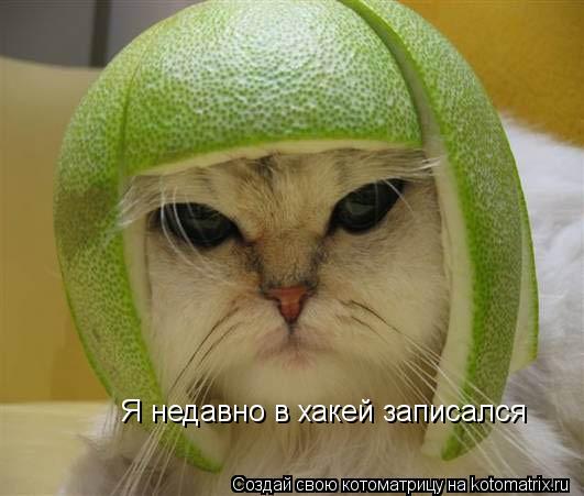 Я недавно в хакей записался... Котоматрица: Я недавно в хакей записался