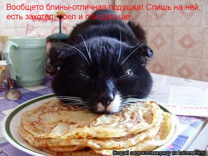 Котоматрица: Вообщето блины-отличная подушка! Спишь на ней,  есть захотел, поел и спи дальше...