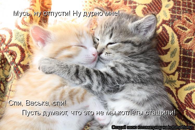 Котоматрица: Спи, Васька, спи! Пусть думают, что это не мы котлеты стащили! Мусь, ну отпусти! Ну дурно мне!