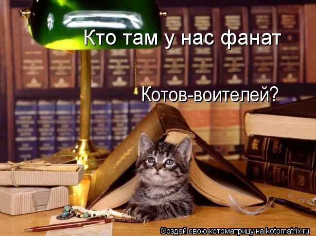 Кто там у нас фанат Котов-воителей?... Котоматрица: Кто там у нас фанат Котов-воителей?