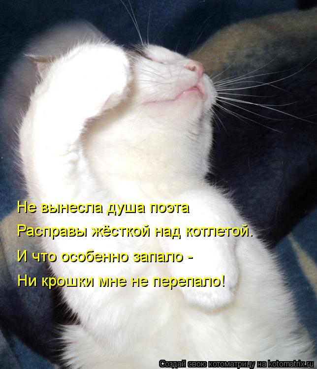 Котоматрица: Не вынесла душа поэта Ни крошки мне не перепало! Расправы жёсткой над котлетой. И что особенно запало -