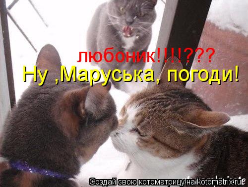 любоник!!!!??? Ну ,Маруська, погоди!... Котоматрица: любоник!!!!??? Ну ,Маруська, погоди!