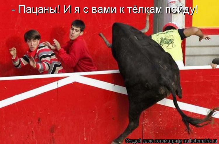 - Пацаны! И я с вами к тёлкам пойду!... Котоматрица: - Пацаны! И я с вами к тёлкам пойду!