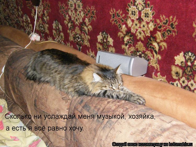 Сколько ни услаждай меня музыкой, хозяйка, а есть я всё равно хочу.... Котоматрица: Сколько ни услаждай меня музыкой, хозяйка, а есть я всё равно хочу.
