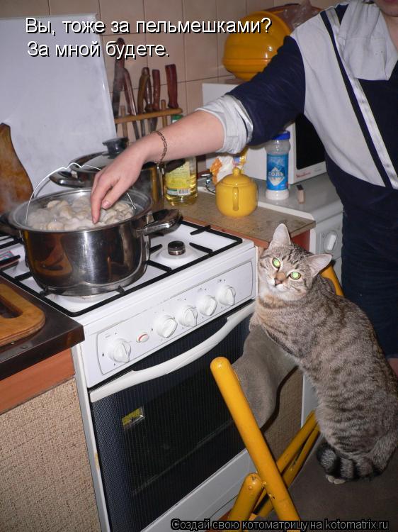 Вы, тоже за пельмешками? Вы, тоже за пельмешками? За мной будете.... Котоматрица: Вы, тоже за пельмешками? Вы, тоже за пельмешками? За мной будете.