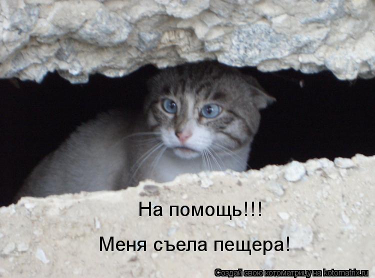На помощь!!! Меня съела пещера!... Котоматрица: На помощь!!! Меня съела пещера!