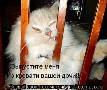Выпустите меня Из кровати вашей дочи!!... Котоматрица: Выпустите меня Из кровати вашей дочи!!