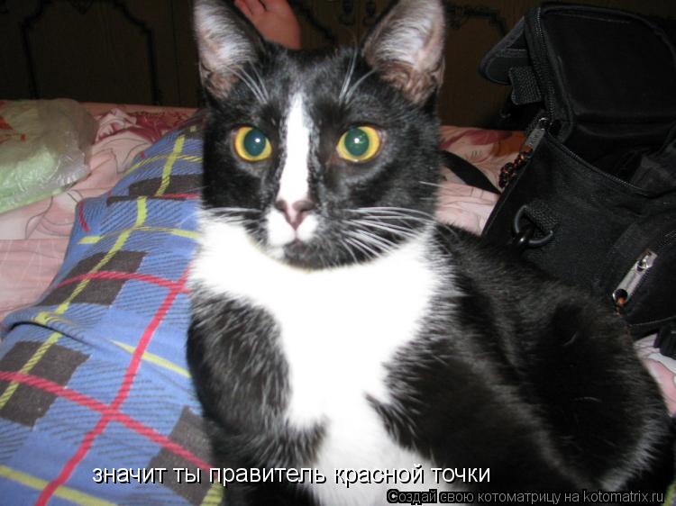 значит ты правитель красной точки... Котоматрица: значит ты правитель красной точки