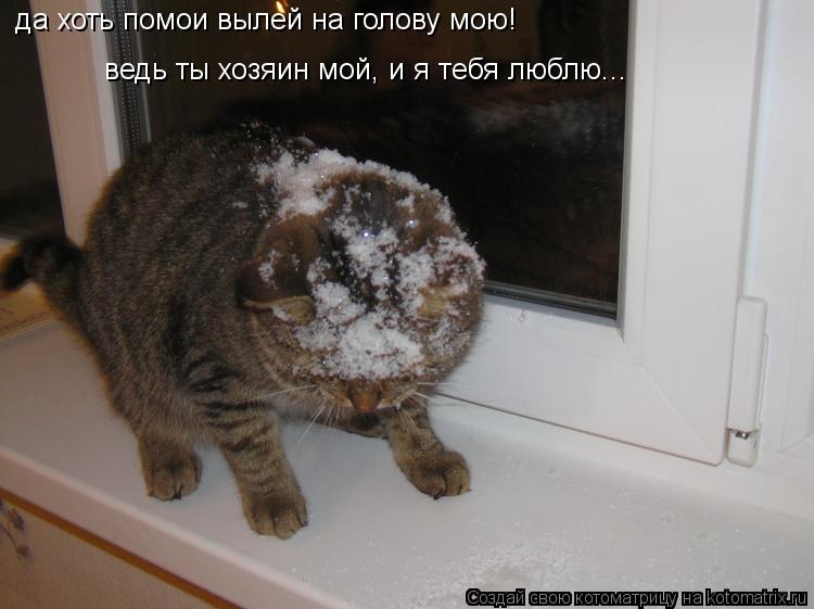 да хоть помои вылей на голову мою! ведь ты хозяин мой, и я тебя люблю...... Котоматрица: да хоть помои вылей на голову мою! ведь ты хозяин мой, и я тебя люблю...