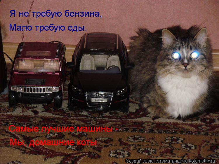 Котоматрица: Я не требую бензина, Мало требую еды. Самые лучшие машины - Мы, домашние коты.