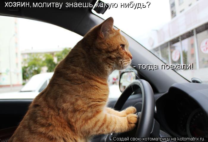 хозяин молитву знаешь какую нибудь? - тогда поехали! хозяин,... Котоматрица: хозяин молитву знаешь какую нибудь? - тогда поехали! хозяин,
