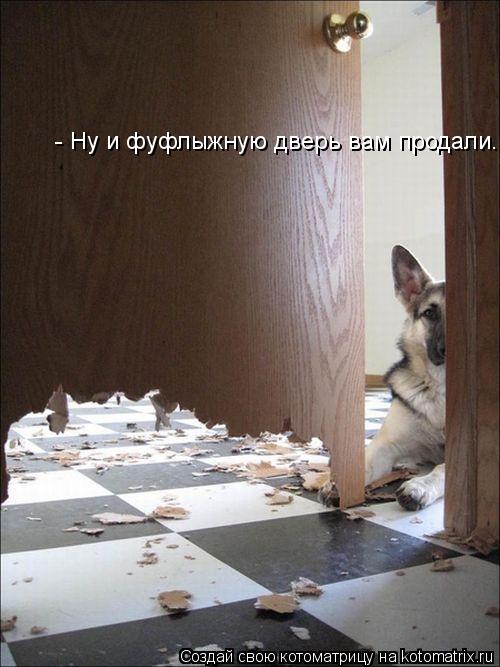 - Ну и фуфлыжную дверь вам продали...... Котоматрица: - Ну и фуфлыжную дверь вам продали...