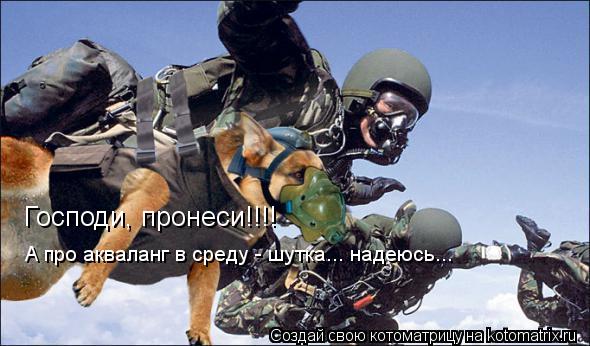 Господи, пронеси!!!! А про акваланг в среду - шутка... надеюсь...... Котоматрица: Господи, пронеси!!!! А про акваланг в среду - шутка... надеюсь...