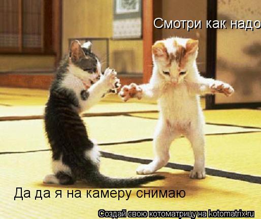 Смотри как надо Да да я на камеру снимаю... Котоматрица: Смотри как надо Да да я на камеру снимаю