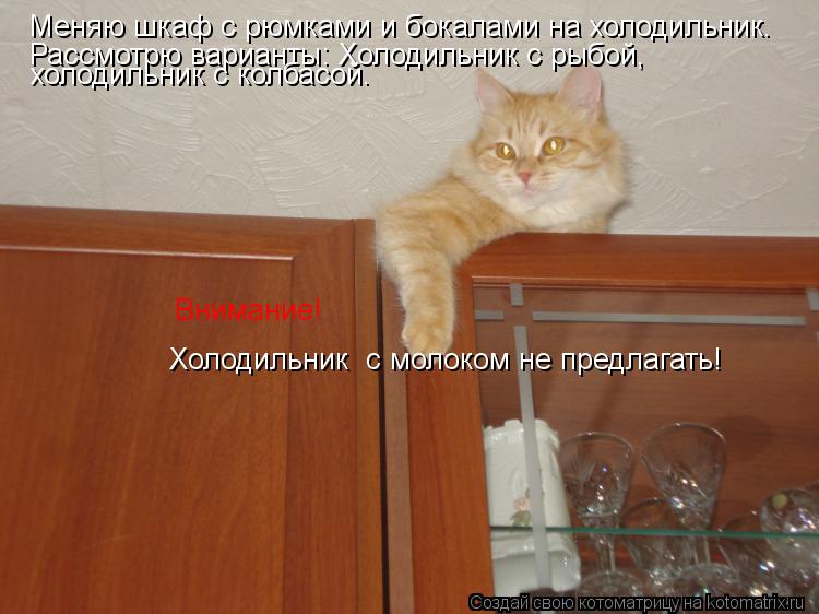 Котоматрица: Меняю шкаф с рюмками и бокалами на холодильник. Рассмотрю варианты: Холодильник с рыбой,    холодильник с колбасой. Холодильник  с молоком не