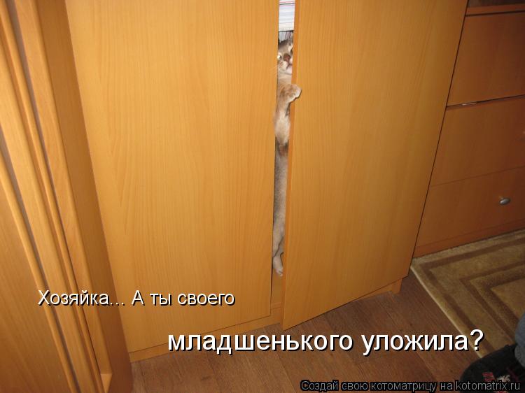Котоматрица: Хозяйка... А ты своего  младшенького уложила?