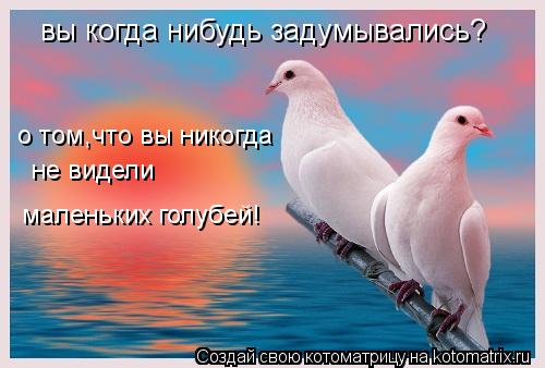 о том,что вы никогда не видели маленьких голубей! вы когда нибудь задумывались?... Котоматрица: о том,что вы никогда не видели маленьких голубей! вы когда нибудь задумывались?