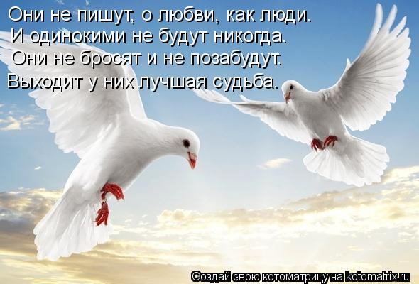 Котоматрица: Они не пишут, о любви, как люди. И одинокими не будут никогда. Они не бросят и не позабудут. Выходит у них лучшая судьба.