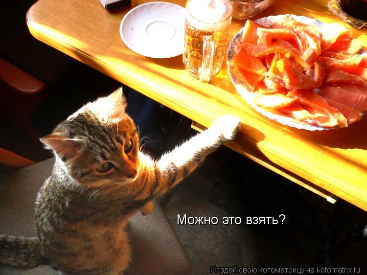 Котоматрица: Можно это взять?