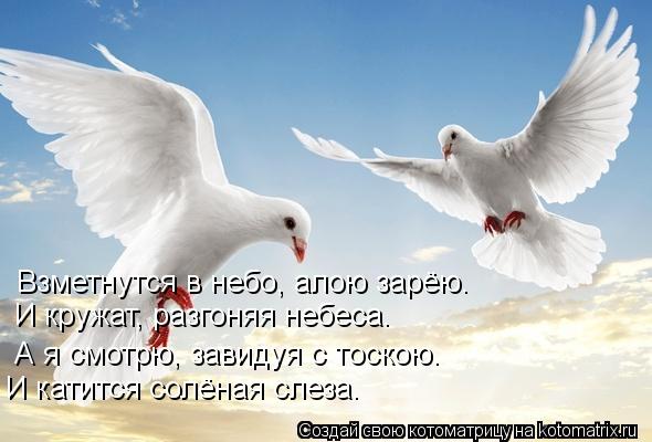 Котоматрица: Взметнутся в небо, алою зарёю.  И кружат, разгоняя небеса. А я смотрю, завидуя с тоскою. И катится солёная слеза.