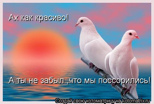 Котоматрица: Ах как красиво! А ты не забыл ,что мы поссорились!